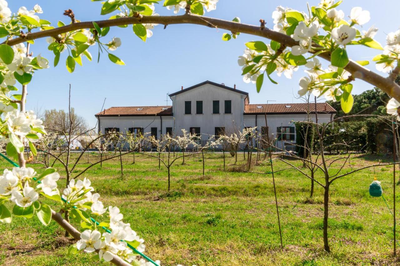 Agriturismo Ca' Baccan Cavallino-Treporti Zewnętrze zdjęcie
